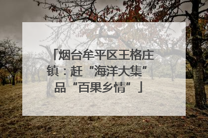 烟台牟平区王格庄镇：赶“海洋大集” 品“百果乡情”