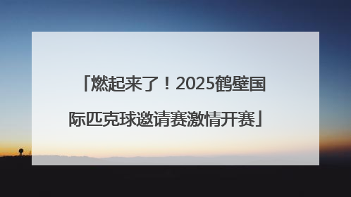 燃起来了！2025鹤壁国际匹克球邀请赛激情开赛