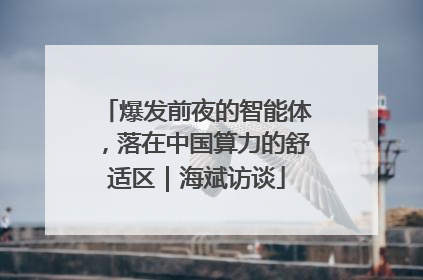 爆发前夜的智能体，落在中国算力的舒适区｜海斌访谈