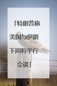 特朗普称美国与伊朗下周将举行会谈