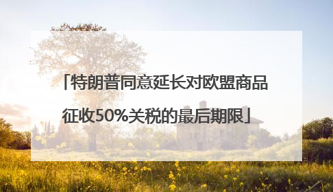 特朗普同意延长对欧盟商品征收50%关税的最后期限