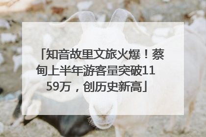 知音故里文旅火爆！蔡甸上半年游客量突破1159万，创历史新高