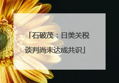 石破茂：日美关税谈判尚未达成共识