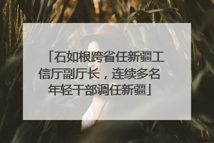 石如根跨省任新疆工信厅副厅长，连续多名年轻干部调任新疆