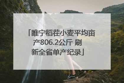 睢宁稻茬小麦平均亩产806.2公斤 刷新全省单产纪录