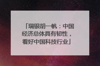 瑞银胡一帆：中国经济总体具有韧性，看好中国科技行业