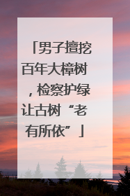 男子擅挖百年大樟树，检察护绿让古树“老有所依”