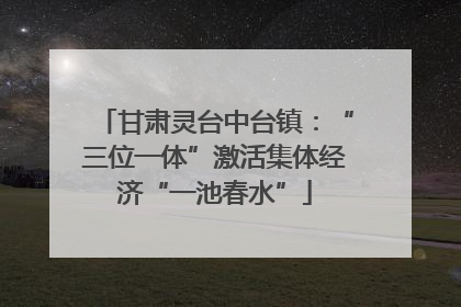 甘肃灵台中台镇：“三位一体”激活集体经济“一池春水”