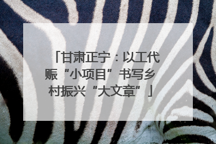 甘肃正宁：以工代赈“小项目”书写乡村振兴“大文章”