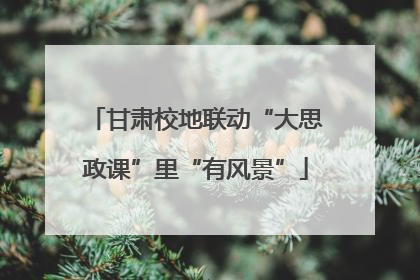 甘肃校地联动“大思政课”里“有风景”