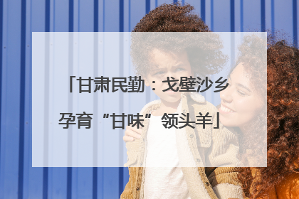 甘肃民勤：戈壁沙乡孕育“甘味”领头羊