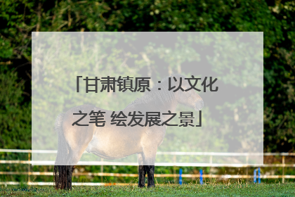 甘肃镇原：以文化之笔 绘发展之景