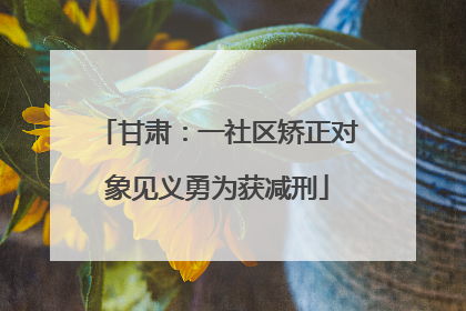 甘肃：一社区矫正对象见义勇为获减刑