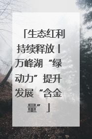 生态红利持续释放丨万峰湖“绿动力”提升发展“含金量”