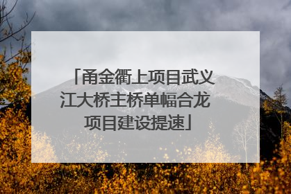 甬金衢上项目武义江大桥主桥单幅合龙 项目建设提速