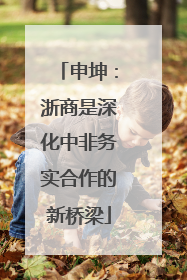 申坤：浙商是深化中非务实合作的新桥梁