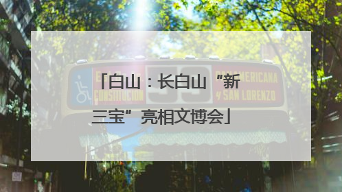 白山：长白山“新三宝”亮相文博会