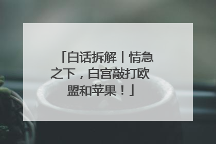 白话拆解丨情急之下，白宫敲打欧盟和苹果！