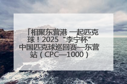 相聚东营港 一起匹克球！2025“李宁杯”中国匹克球巡回赛—东营站（CPC—1000）暨“好运山东”黄河口匹克球公开赛落幕