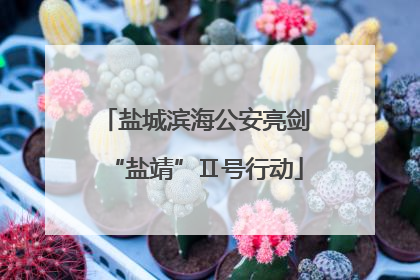 盐城滨海公安亮剑“盐靖”Ⅱ号行动