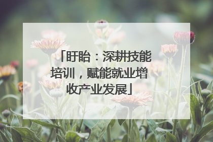 盱眙：深耕技能培训，赋能就业增收产业发展