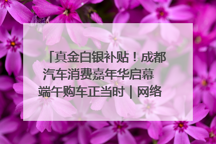 真金白银补贴！成都汽车消费嘉年华启幕 端午购车正当时｜网络中国节·端午