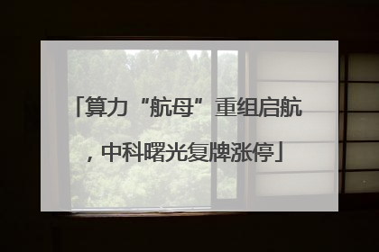 算力“航母”重组启航，中科曙光复牌涨停