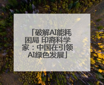 破解AI能耗困局 印裔科学家：中国在引领AI绿色发展