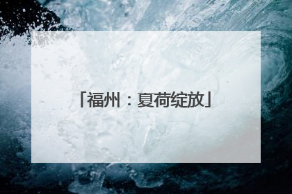 福州：夏荷绽放