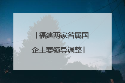 福建两家省属国企主要领导调整