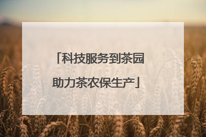 科技服务到茶园 助力茶农保生产