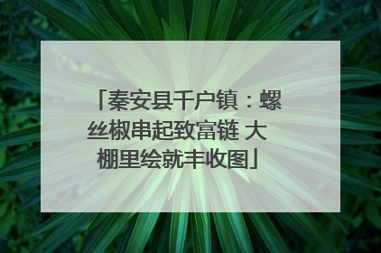 秦安县千户镇：螺丝椒串起致富链 大棚里绘就丰收图