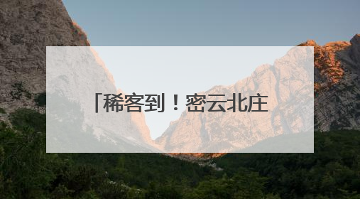 稀客到！密云北庄镇首次发现国家二级保护鸟类凤头鹰