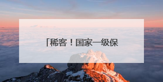 稀客！国家一级保护动物穿山甲获救