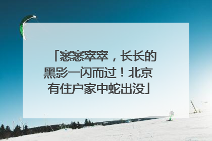 窸窸窣窣，长长的黑影一闪而过！北京有住户家中蛇出没