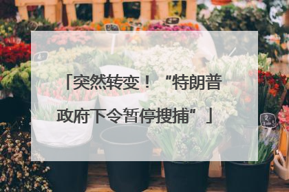 突然转变！“特朗普政府下令暂停搜捕”