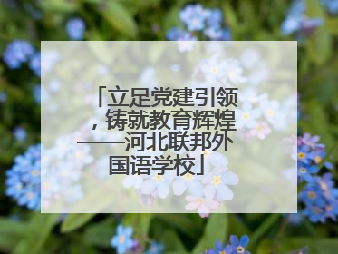 立足党建引领，铸就教育辉煌——河北联邦外国语学校
