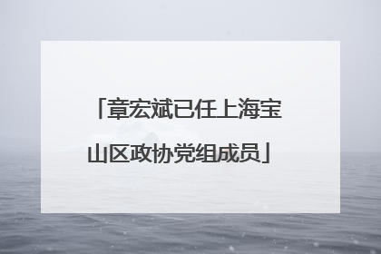 章宏斌已任上海宝山区政协党组成员