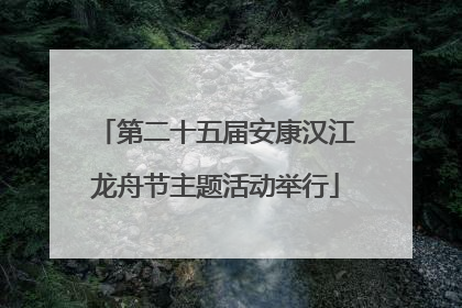 第二十五届安康汉江龙舟节主题活动举行