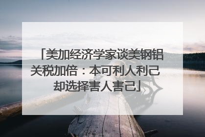 美加经济学家谈美钢铝关税加倍：本可利人利己 却选择害人害己