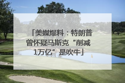 美媒爆料：特朗普曾怀疑马斯克“削减1万亿”是吹牛