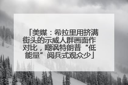 美媒：希拉里用挤满街头的示威人群画面作对比，嘲讽特朗普“低能量”阅兵式观众少