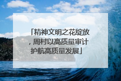 精神文明之花绽放，周村以高质量审计护航高质量发展
