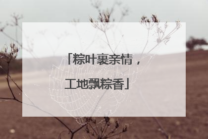 粽叶裹亲情，工地飘粽香