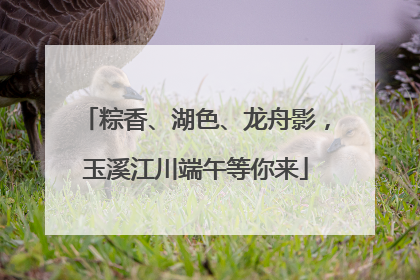 粽香、湖色、龙舟影，玉溪江川端午等你来