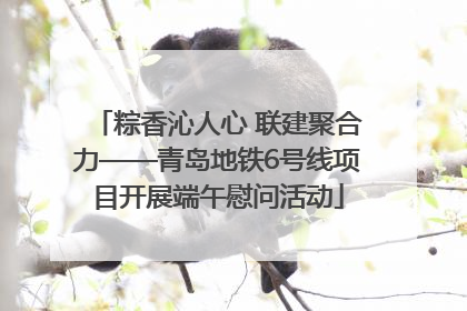 粽香沁人心 联建聚合力——青岛地铁6号线项目开展端午慰问活动
