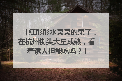 红彤彤水灵灵的果子，在杭州街头大量成熟，看着诱人但能吃吗？