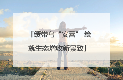 绶带鸟“安营” 绘就生态增收新景致
