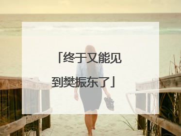终于又能见到樊振东了