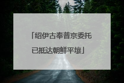 绍伊古奉普京委托已抵达朝鲜平壤